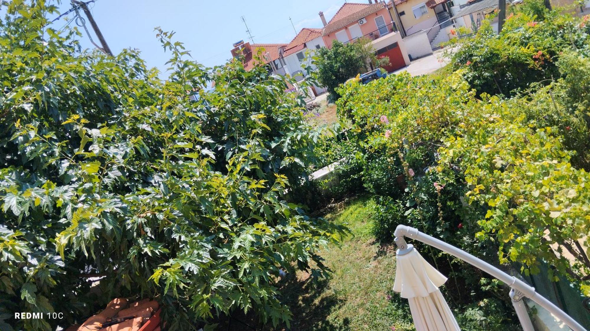 Holiday Home In Chalkidiki, Lakkoma 외부 사진