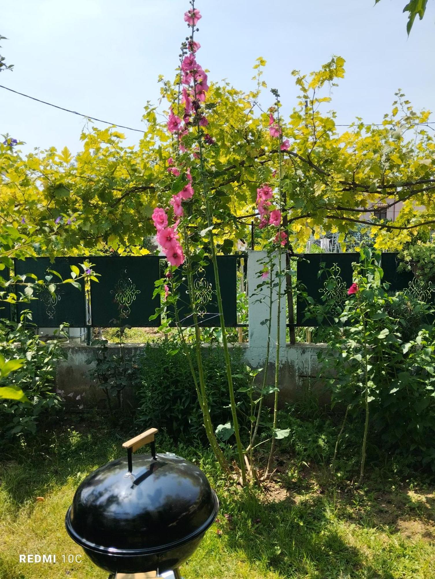 Holiday Home In Chalkidiki, Lakkoma 외부 사진